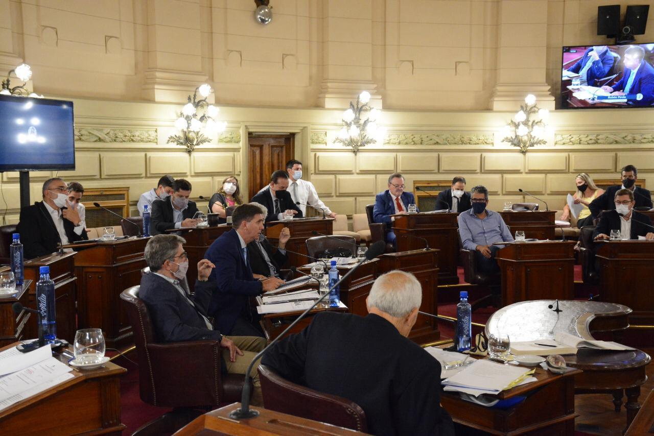 Pipi Traferri lleva presentados más de 30 proyectos de ley en 2021 Pipi Traferri lleva presentados más de 30 proyectos de ley en 2021