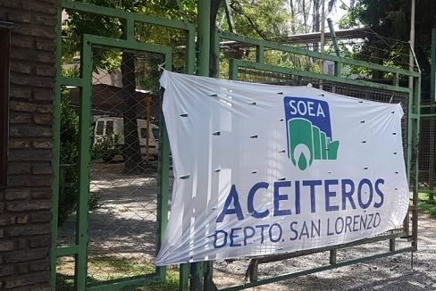 Horas decisivas: vence la conciliación y los aceiteros amenazan con un paro